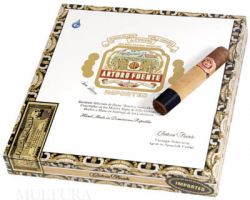 Arturo Fuente Chateau Fuente Maduro  20 .