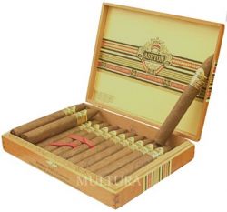 Ashton VSG Torpedo  (24 .)